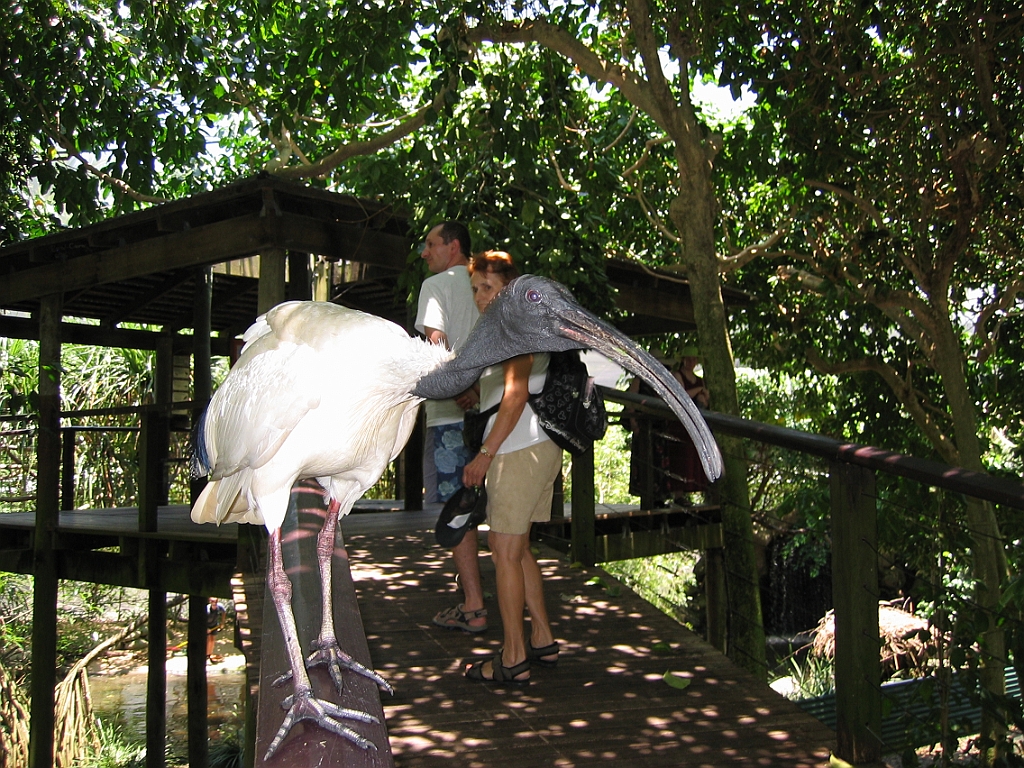 235 Wildlife Habitat Port Douglas.jpg
